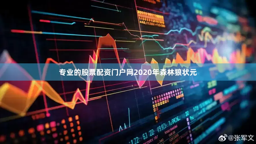 专业的股票配资门户网2020年森林狼状元