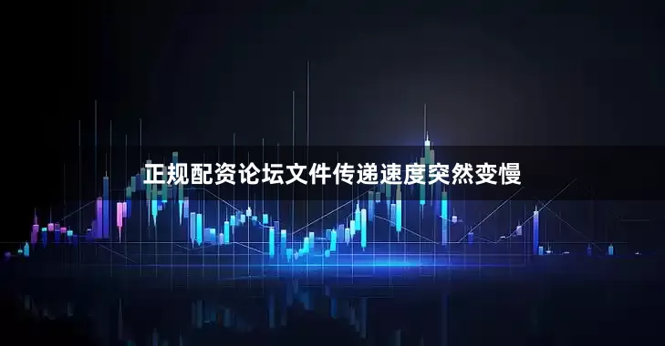 正规配资论坛文件传递速度突然变慢