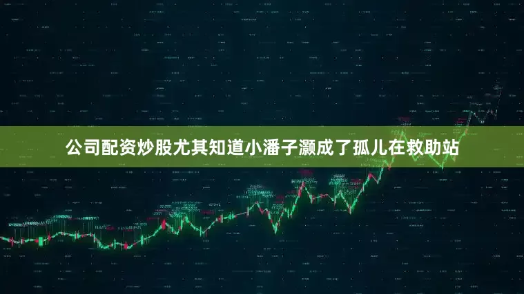 公司配资炒股尤其知道小潘子灏成了孤儿在救助站