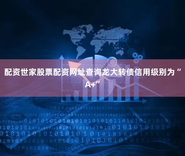 配资世家股票配资网址查询龙大转债信用级别为“A+”