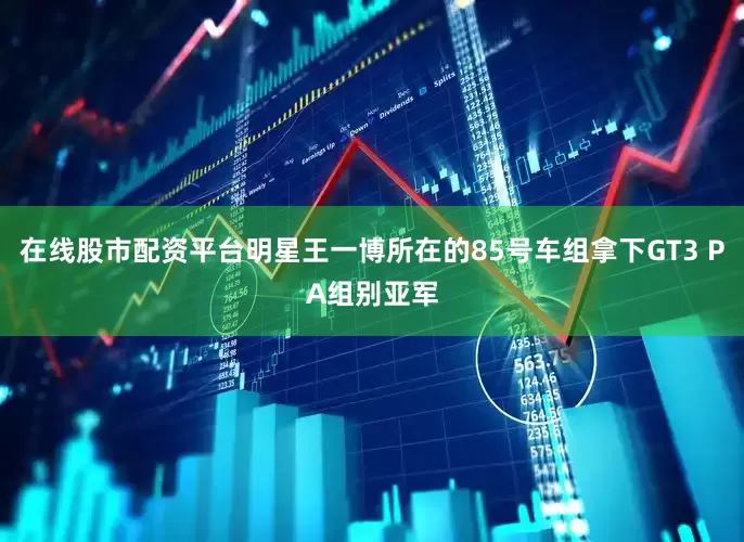 在线股市配资平台明星王一博所在的85号车组拿下GT3 PA组别亚军